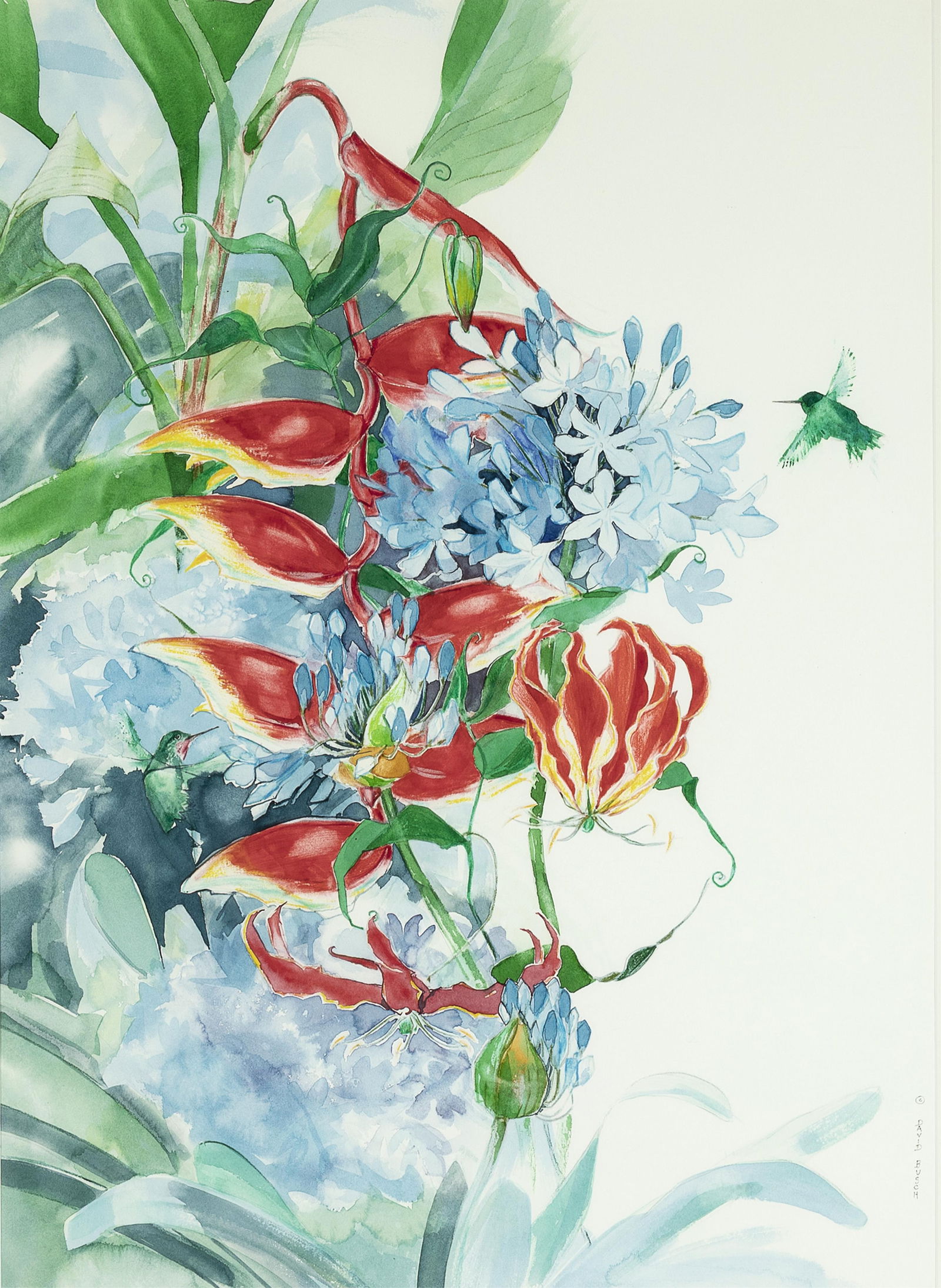 David Busch, Untitled (Flowers and Humming Bird): David Busch 20th Century Untitled (Flowers and Humming Bird) watercolor, graphite signed lower right: © DAVID BUSCH 28 1/4 x 20 1/4 in. (71.8 x 51.4 cm.), frame: 37 1/2 x 29 1/2 x 1 1/8 in. (95.3 x