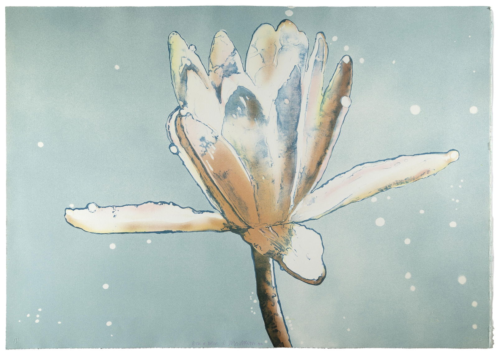 Joseph Raffael, Water Lily, 1983 (1 of 2)