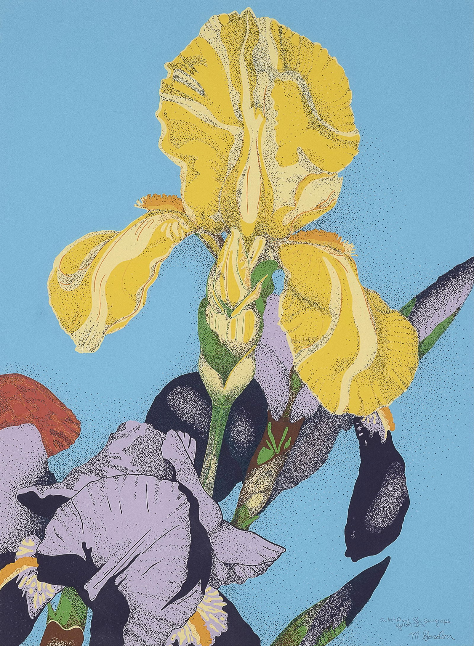 Mark Gordon, Yellow Iris, 1986: Mark Gordon b. 1952 Yellow Iris, 1986 serigraph, artist's proof, edition 5 of 25 editioned, titled and signed lower right: artist proof 5/25 serigraph / "yellow Iris" / M. Gordon 29 1/2 x 21 3/4 in.