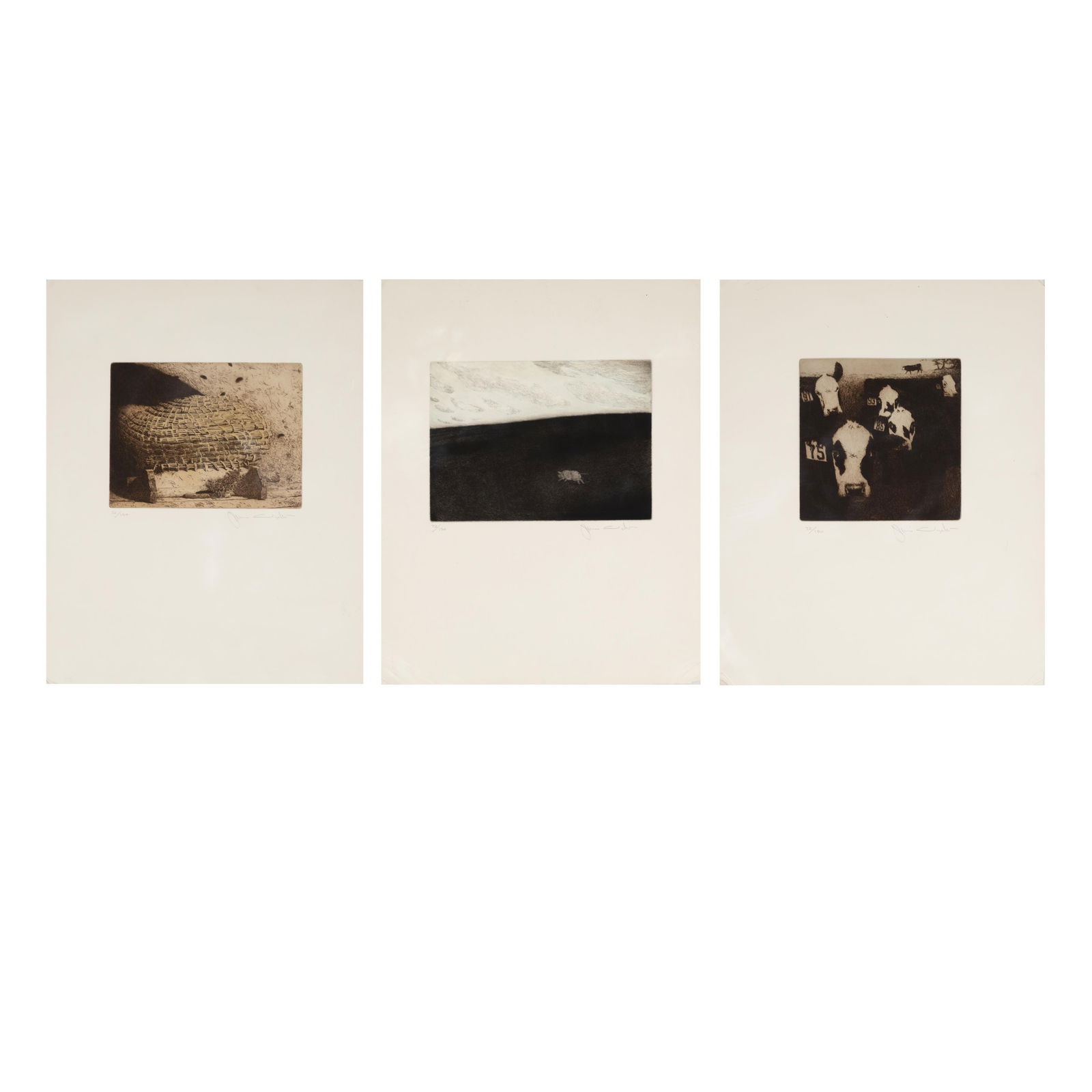 Jamie Wyeth, The Farm Portfolio: Three Etchings, 1980: Jamie Wyethb. 1946The Farm Portfolio: Three Etchings, 1980etching, edition 72 of 150each editioned lower left: 72/150each signed lower right: Jamie WyethBee Shadows8 7/8 x 11 3/4 in. (22.5