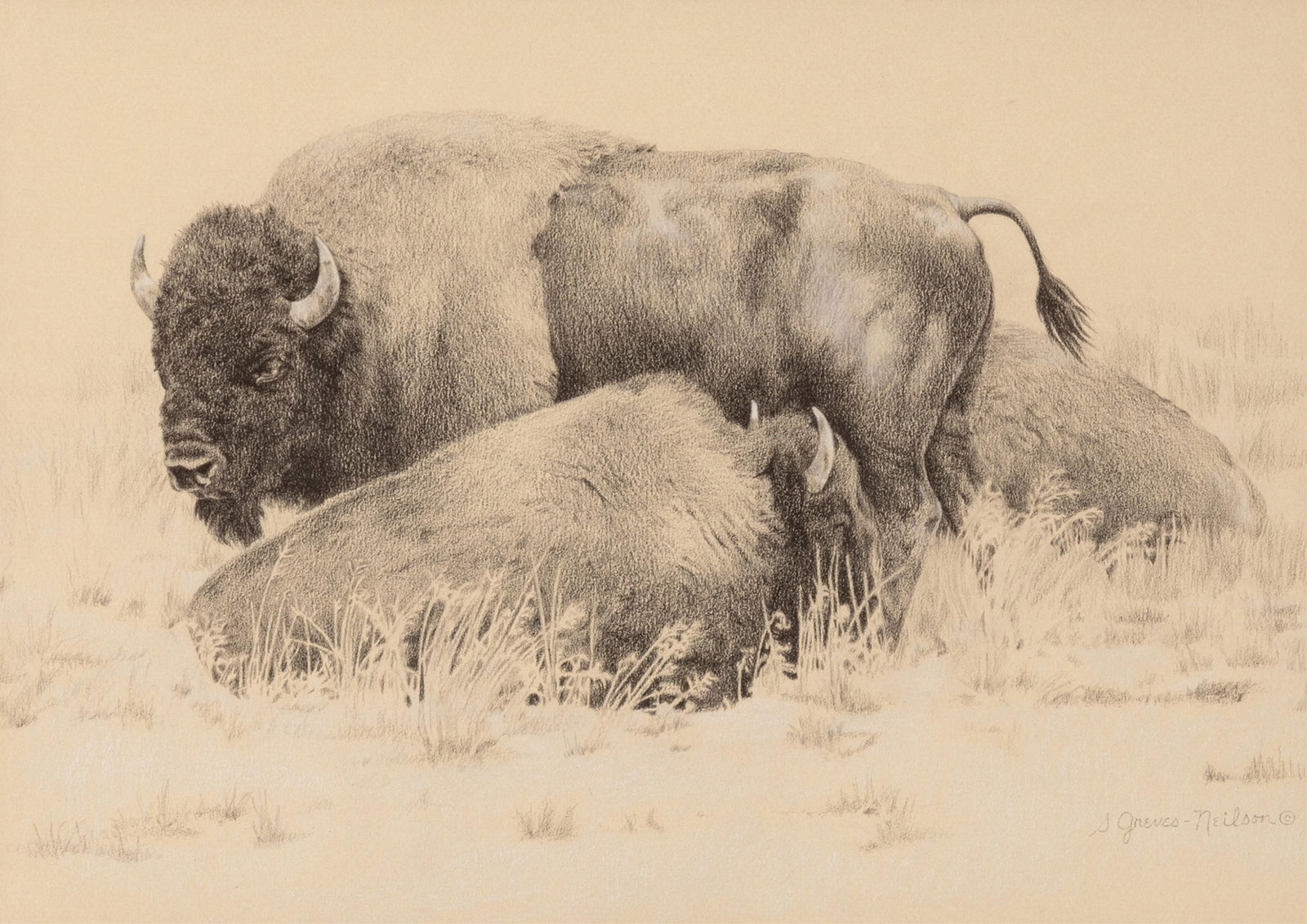 Sheri Greves Neilson, Dusty Monarch: Sheri Greves Neilson 20th/21st Century Dusty Monarch graphite on paper signed lower right: S Greves-Neilson © 10 7/8 x 15 3/8 in. (27.6 x 39.1 cm.), frame: 19 3/8 x 23 3/8 x 1 1/8 in. (49.2 x 59.4 x