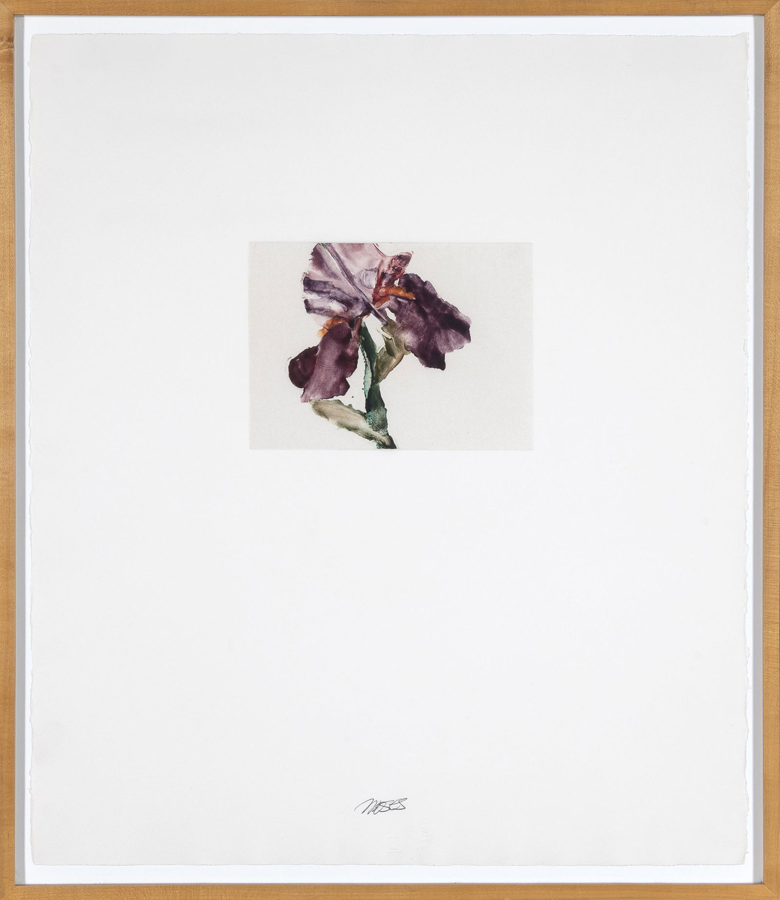 Forrest Moses, Purple Iris - 2