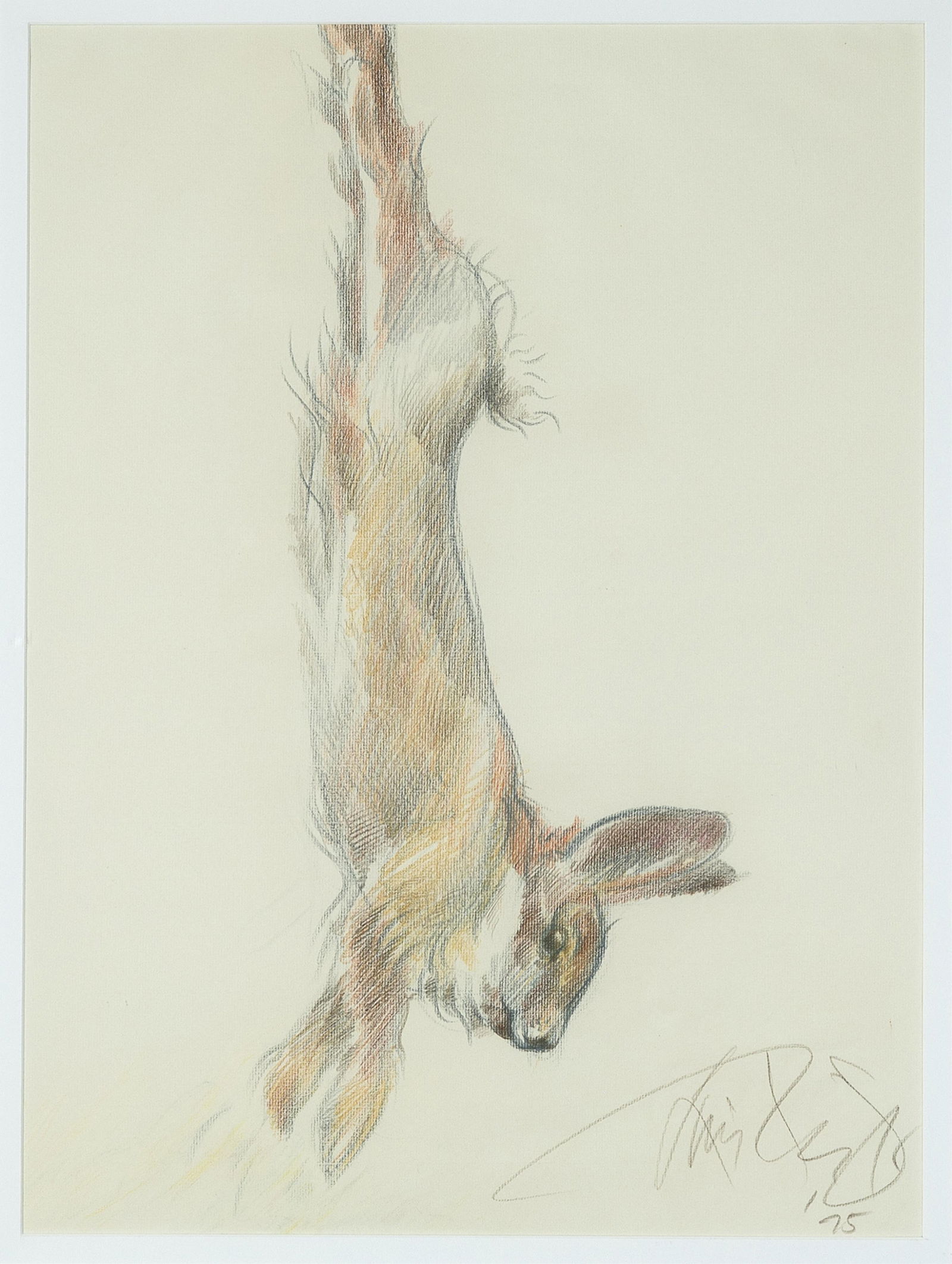 Luis Jiménez, Untitled (Rabbit), 1975: Luis Jiménez1940 - 2006Untitled (Rabbit), 1975colored pencil on laid papersigned and dated lower right: Luis Jiménez / '7522 1/2 x 16.64 in. (57.2 x 42.3 cm.), frame: 31 1/4 x 25 1/4 x 1 in. (79.4 x