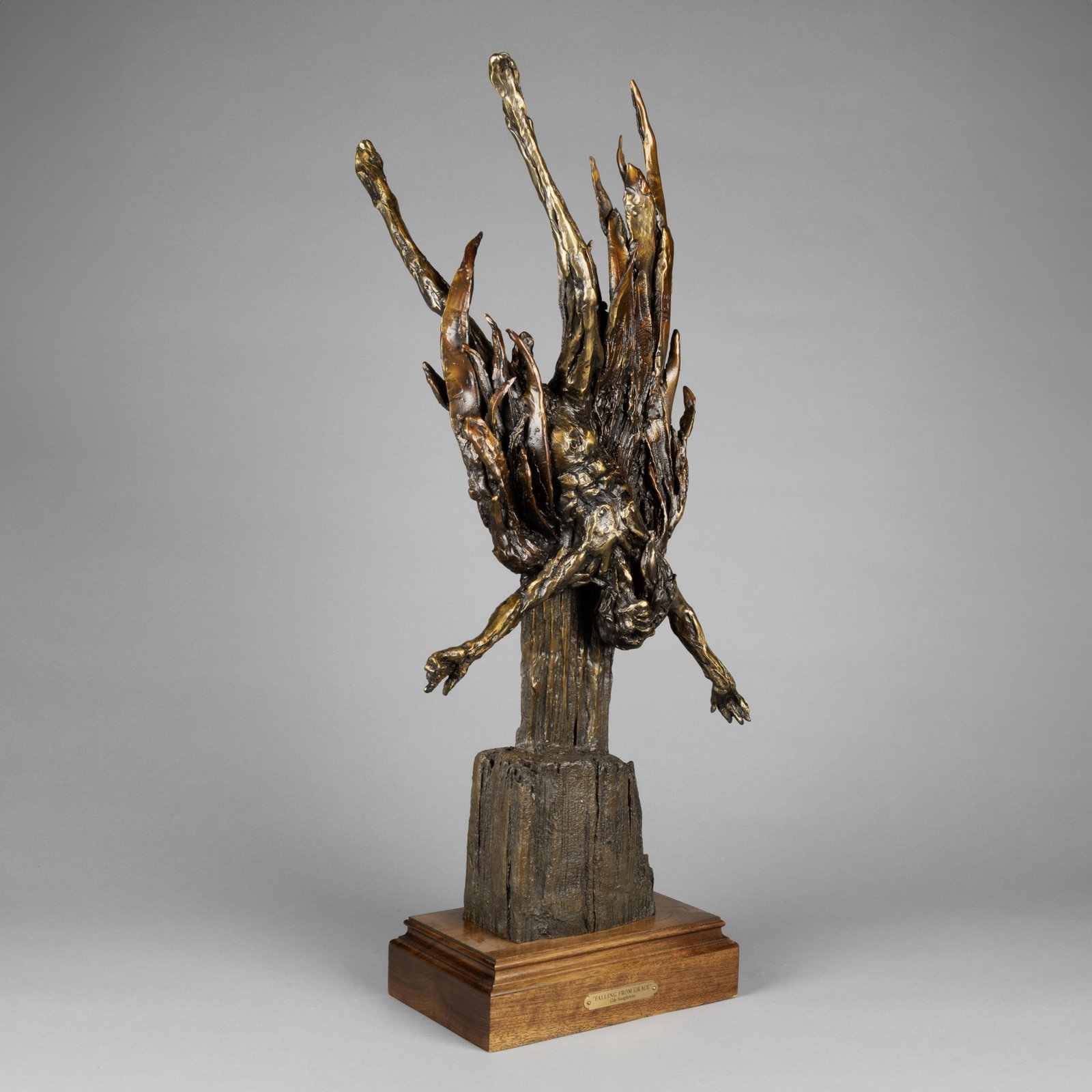 Gib Singleton, Falling from Grace, 2008 - 2