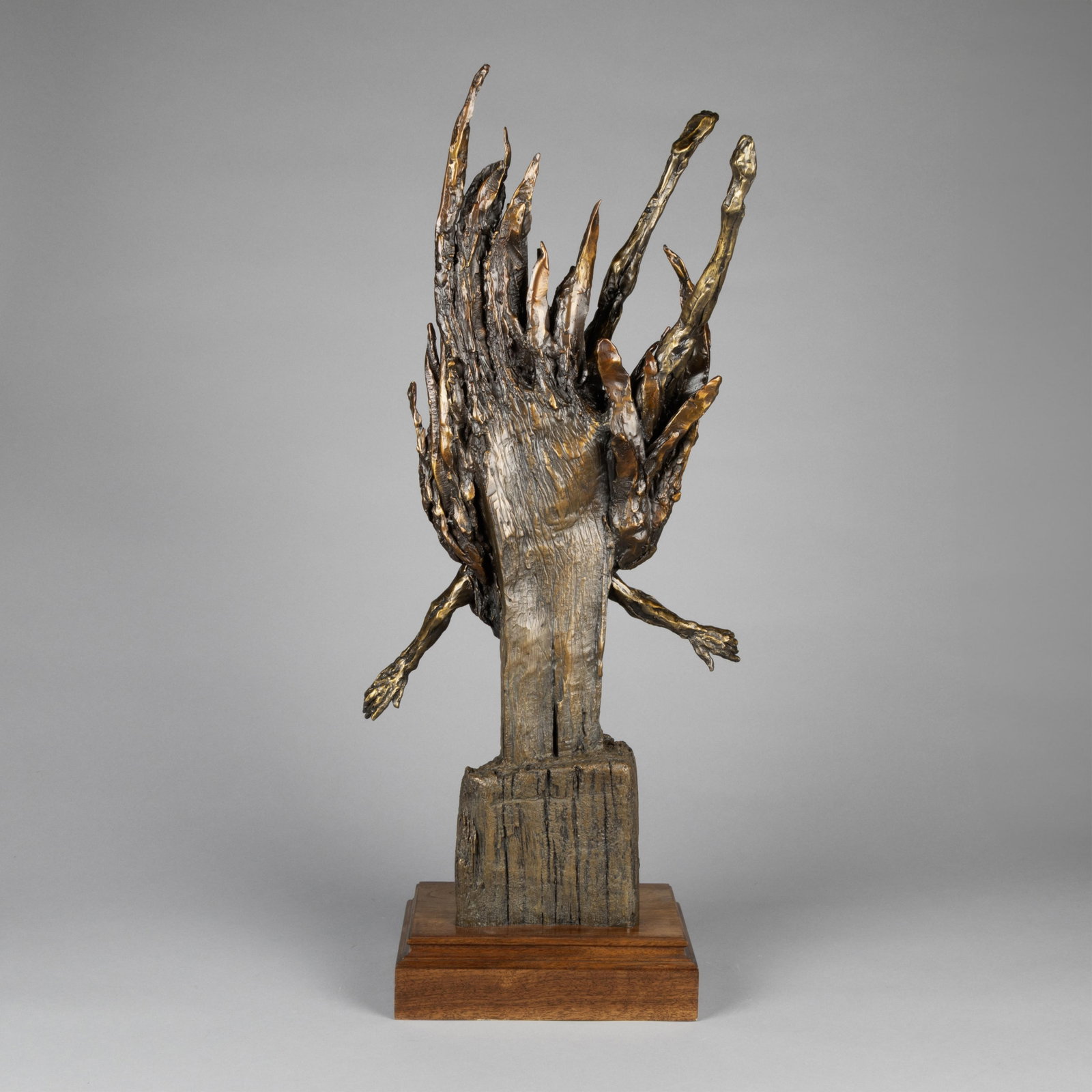 Gib Singleton, Falling from Grace, 2008 - 5