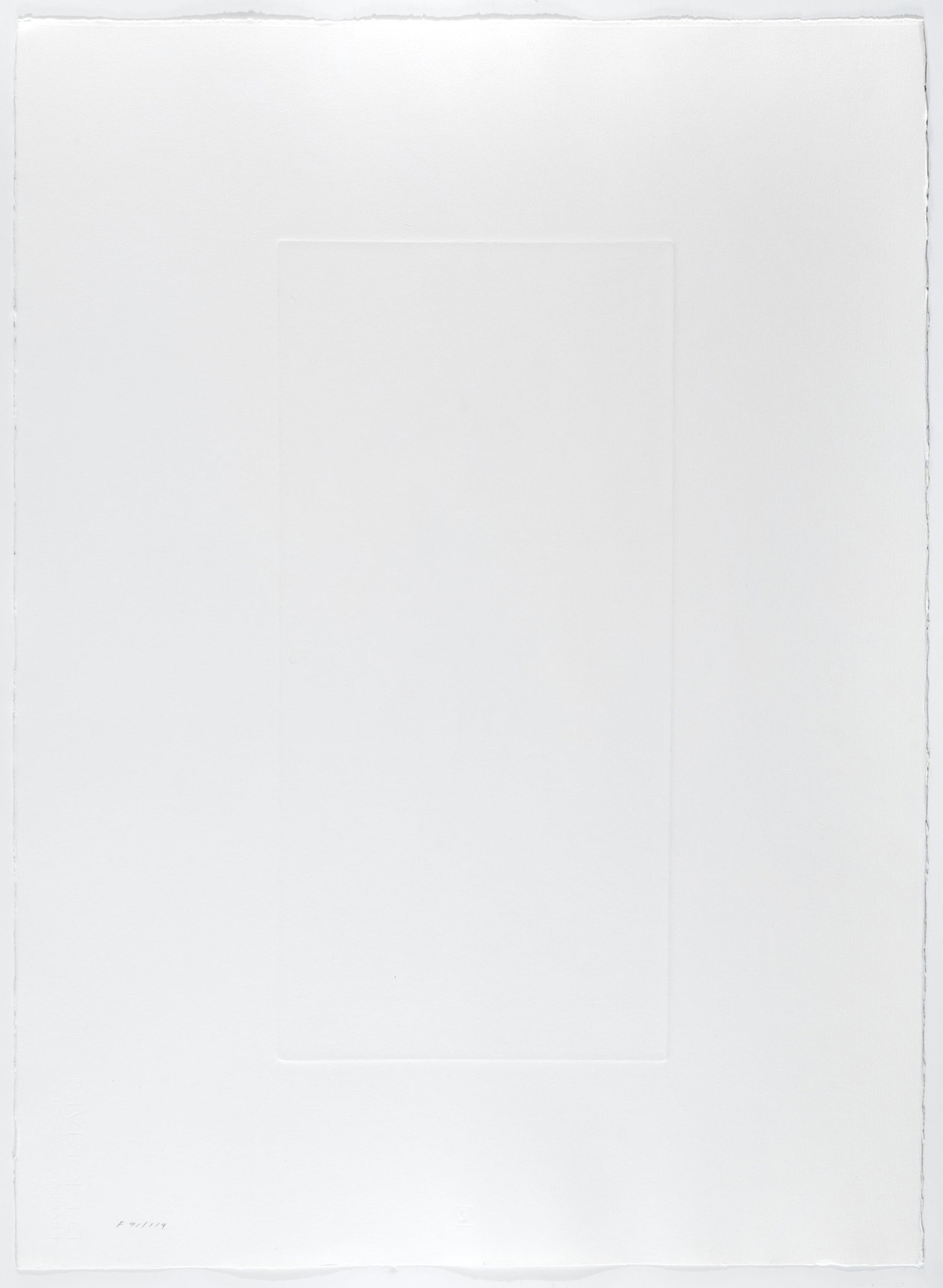 Forrest Moses, Untitled (Iris) - 3