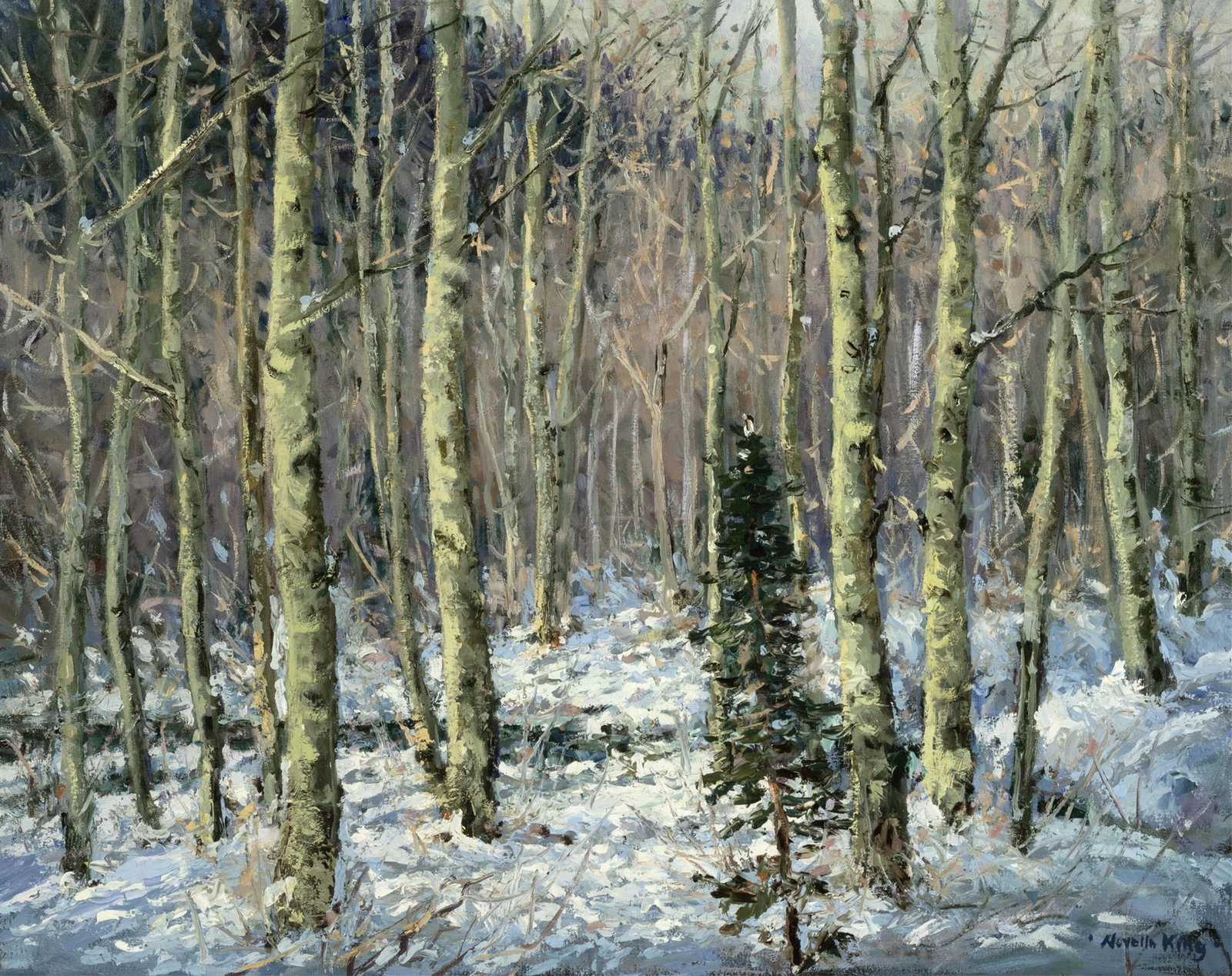 Novella King, Untitled (Winter Aspens): Novella King b. 1927 Untitled (Winter Aspens) oil on canvas signed lower right: -NovellA KiNg- 24 x 30 1/8 in. (61 x 76.5 cm.), frame: 31 1/4 x 37 1/8 x 2 1/4 in. (79.4 x 94.3 x 5.7 cm.) Private