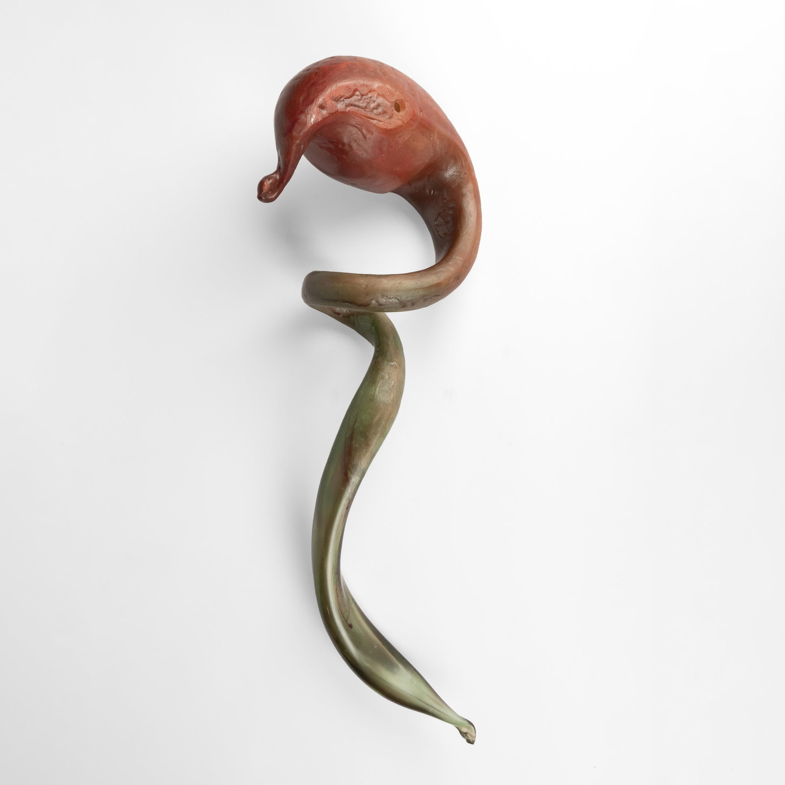 Stacey Neff, Etude X1, 2009 - 2