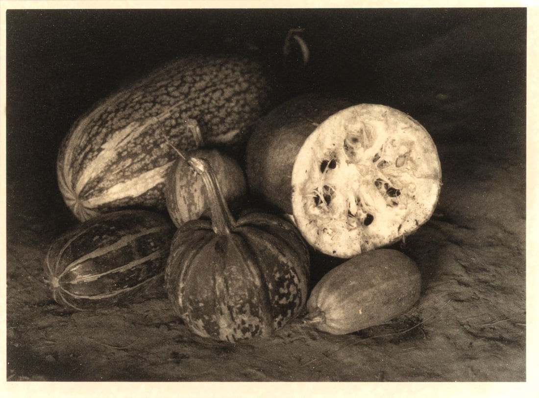 Flor Garduño, Untitled (Squash), 1989: Flor Garduño Mexican, b. 1957 Untitled (Squash), 1989 gelatin silver, edition 5 of 50 3 7/8 x 5 1/2 in. (9.8 x 14 cm.), frame: 22 5/8 x 18 5/8 x 3/4 in. (57.5 x 47.3 x 1.9 cm.) Private Collection, Fl