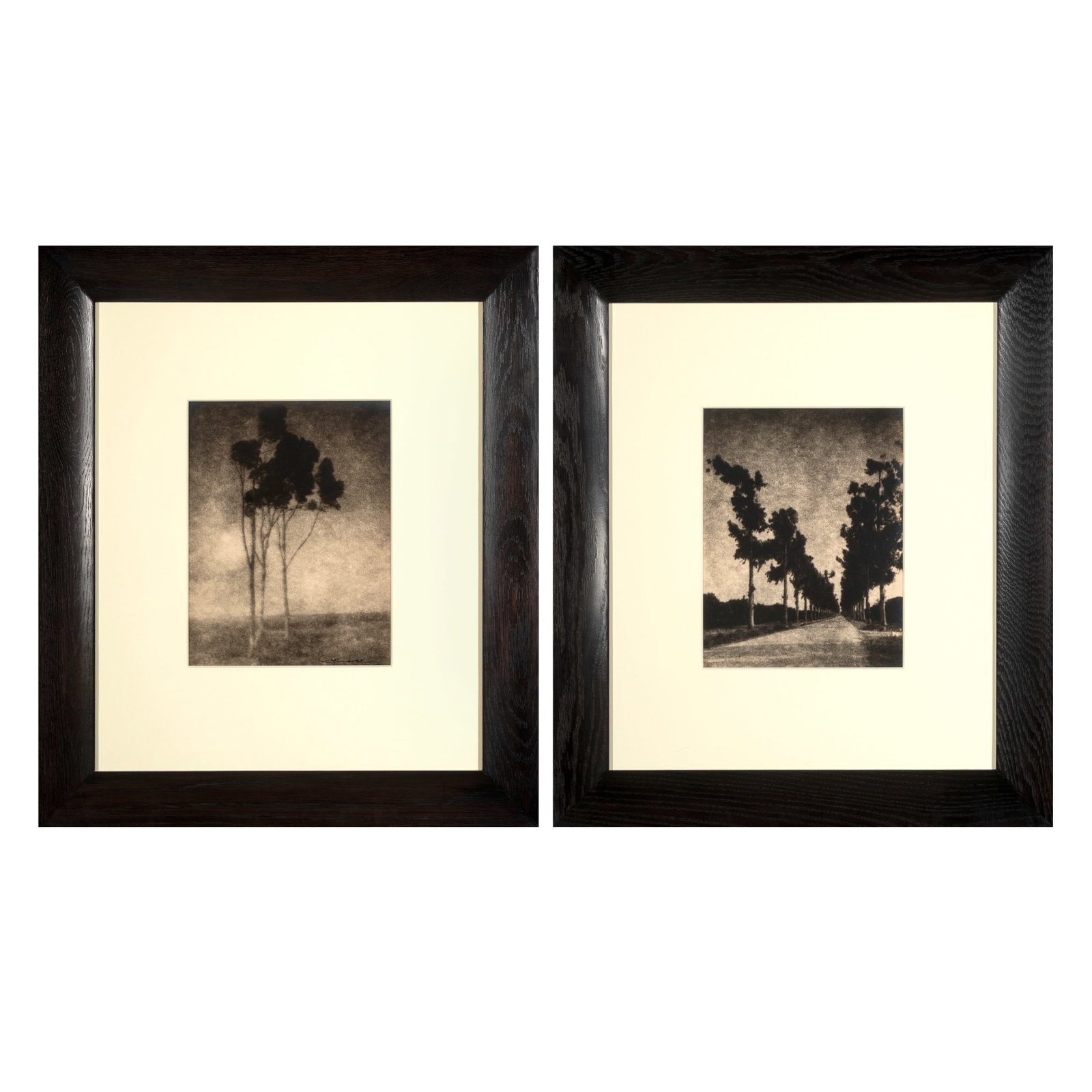 Leopold Hugo, Pair of Photographs, ca. 1925: Trees + Untitled (Tree-lined Road): Leopold Hugo 1860 - 1933 Pair of Photographs, ca. 1925: Trees + Untitled (Tree-lined Road) gelatin silver bromide each signed lower right: Leopold Hugo each: 13 x 10 in. (33 x 25.4 cm.), each frame: 2