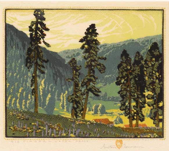 Gustave Baumann (1881-1971), Big Timber - Upper Pecos,: 192 Gustave Baumann (1881-1971) Big Timber - Upper Pecos, 1920 woodblock print 27/120 9 1/8 x 11 1/8 inches titled lower left: BIG TIMBER - UPPER PECOS signed lower right: Gustave Baumann editioned lo