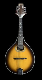 Johnson Mandolin