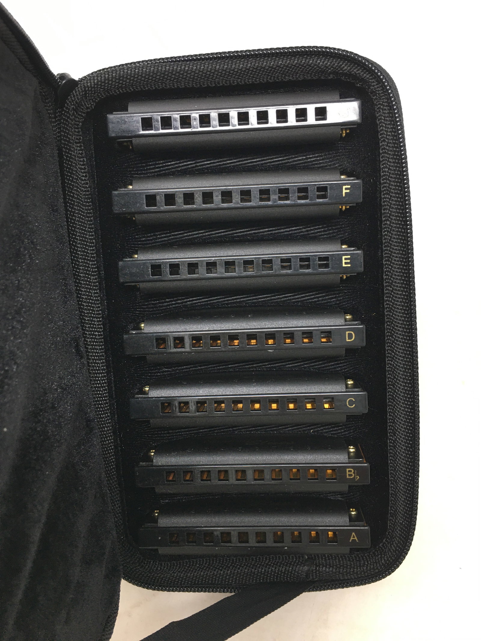 Hohner Piedmont Blues Harmonica Set: Hohner 7 piece Piedmont Blues Harmonica Set in A,B Flat, C, D, E, F, G along with Hohner Unsere Lieblinge 28 C