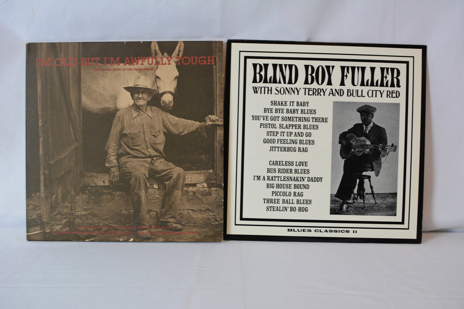 Vintage Blues & Folk Vinyl LP Collection (2 Records) (1 of 12)