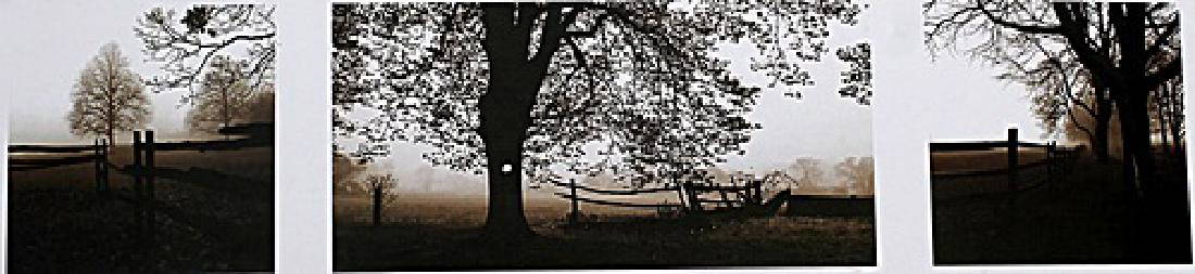 Frosted View - Harold Silverman - Lithograph
