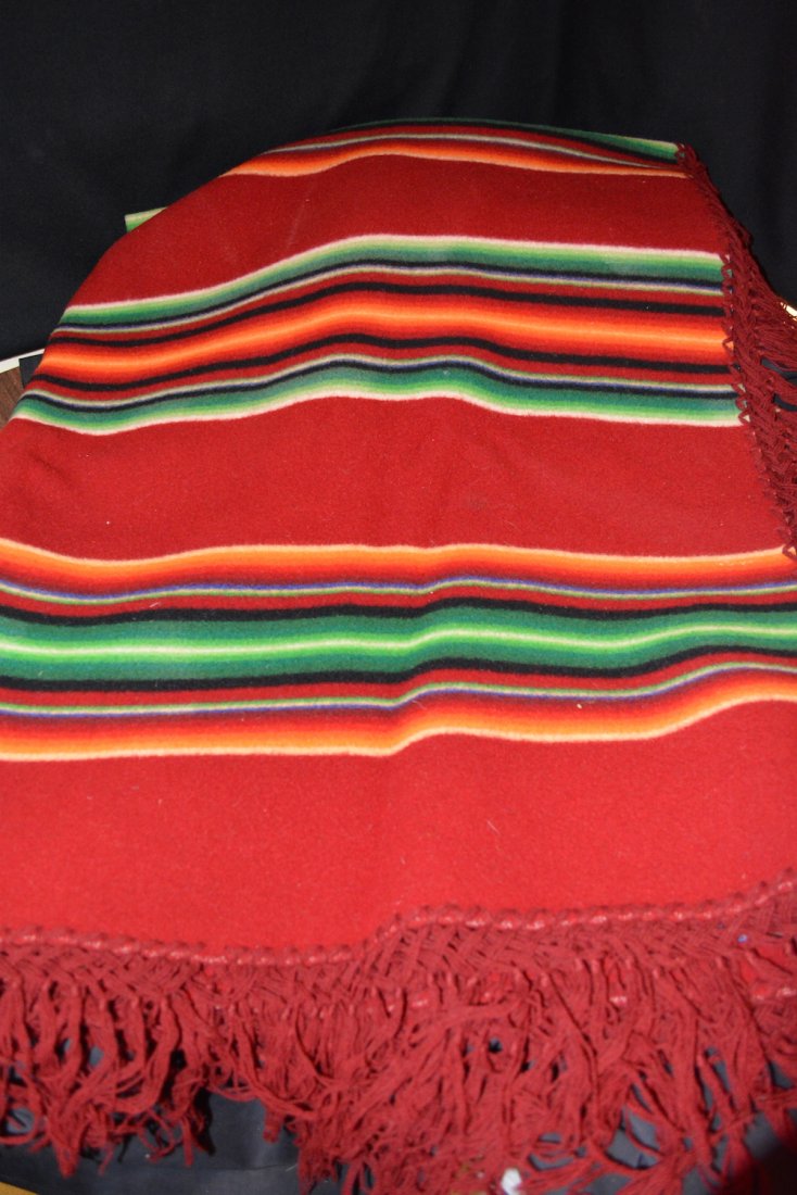 Pendleton Blanket (1 of 2)