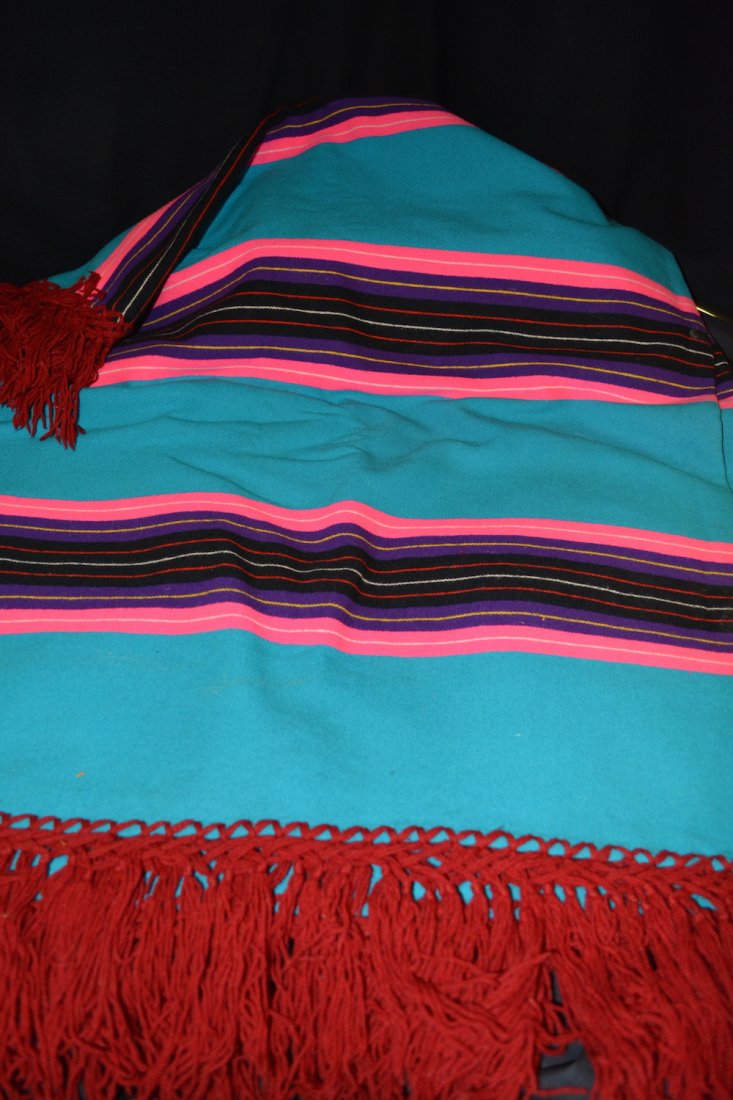 Pendleton Blanket (1 of 2)