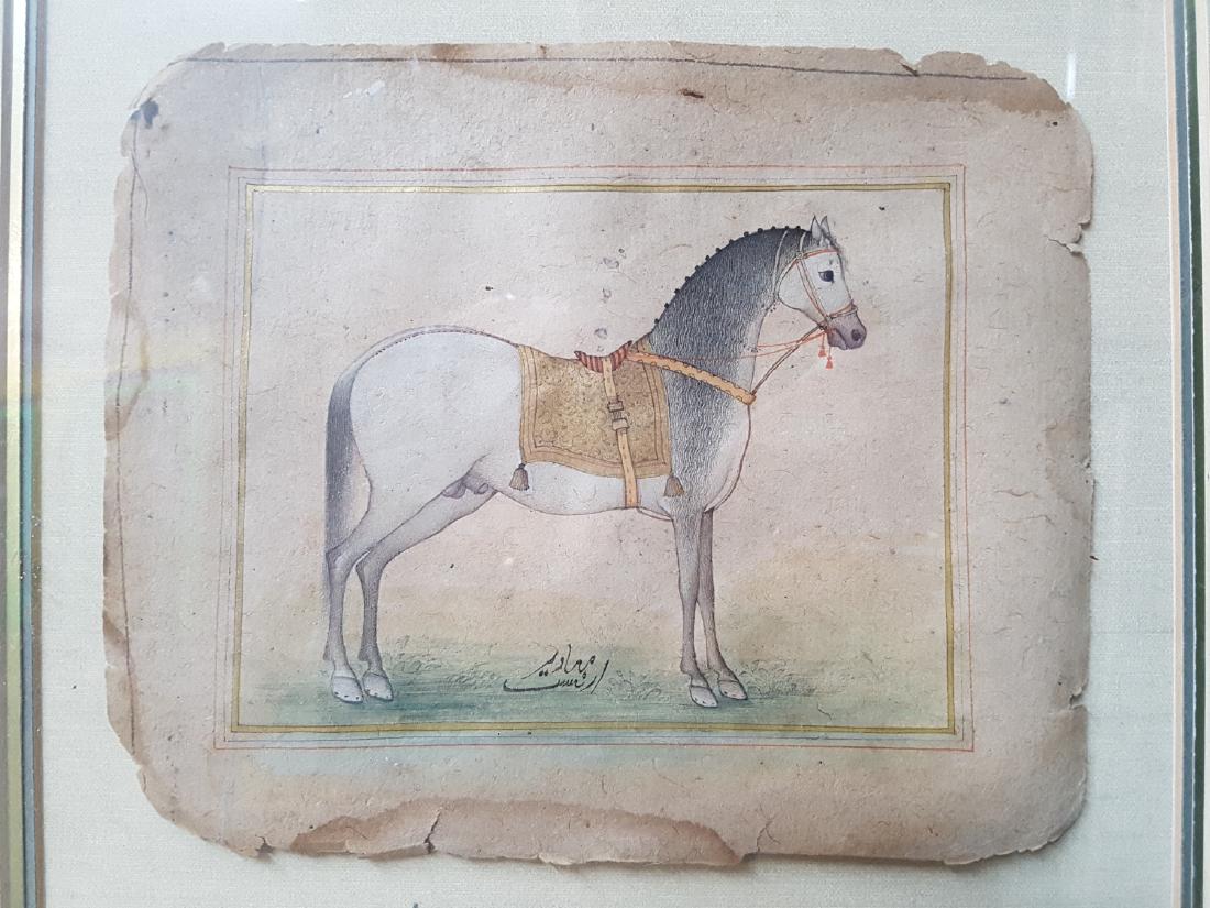 Antique Coloured Engraving Indian Horse, Signed (1 of 3)