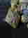 item-77135882=3