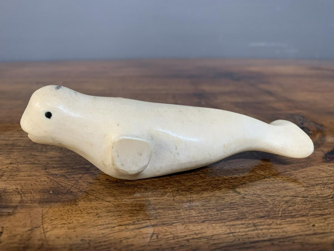 Inuit Carved Bone Statue, Figure, Beluga Whale: Inuit Carved Bone Statue, Figure, Beluga Whale 5 inches long. With sticker, Canada Eskimo Art