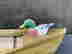 item-107739638=2