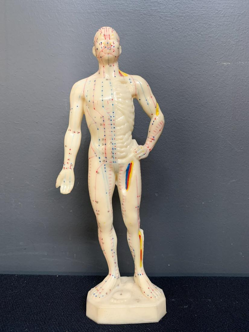 Vintage Acupuncture Rubber Anatomy Model (1 of 4)