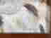 item-111441046=3