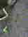 item-111441135=6