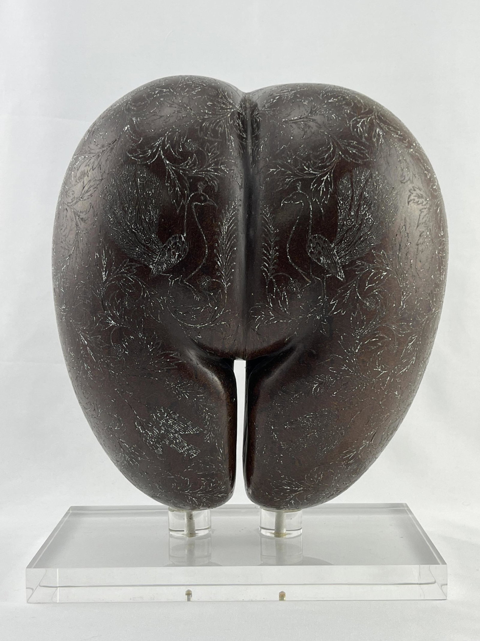 Coco de Mer Coco Fesses Carved Silvered Fertility Nut (1 of 7)