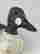 item-116671231=2