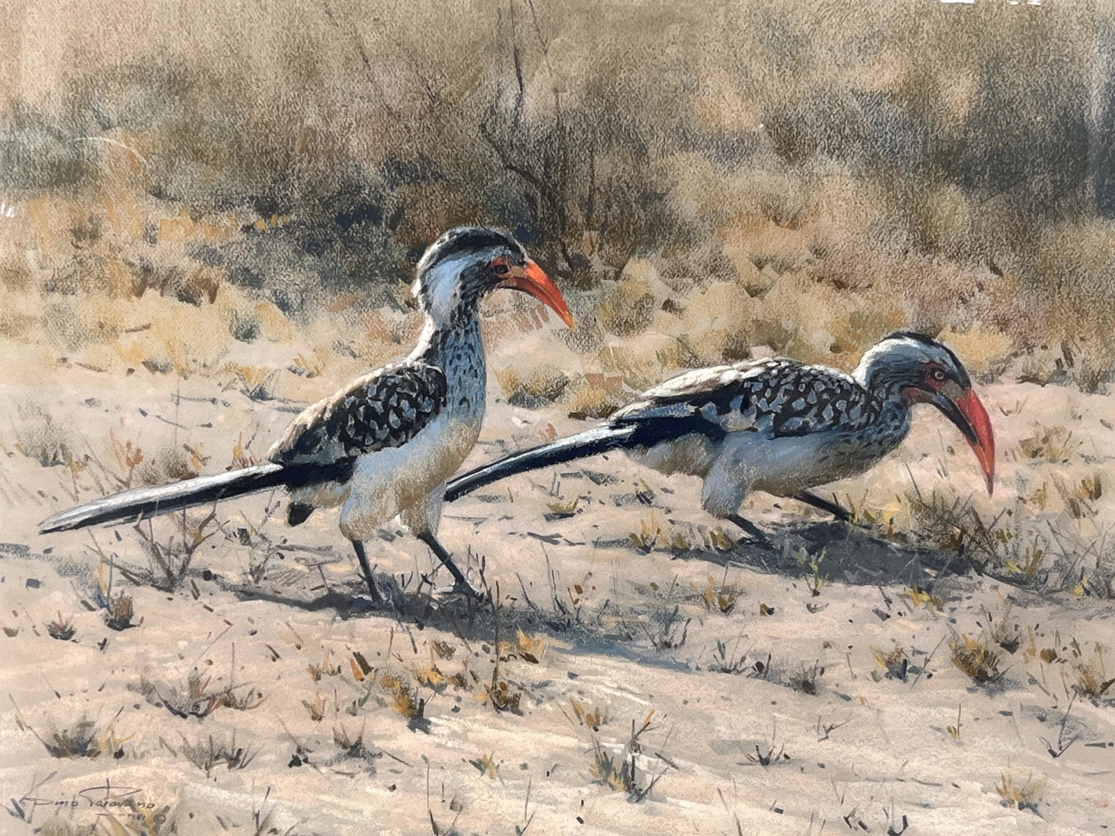 Signed Dino Paravano, Pastel on Paper, Birds (1 of 6)