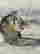 item-119130172=2