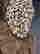 item-119130179=3