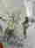 item-121906795=6