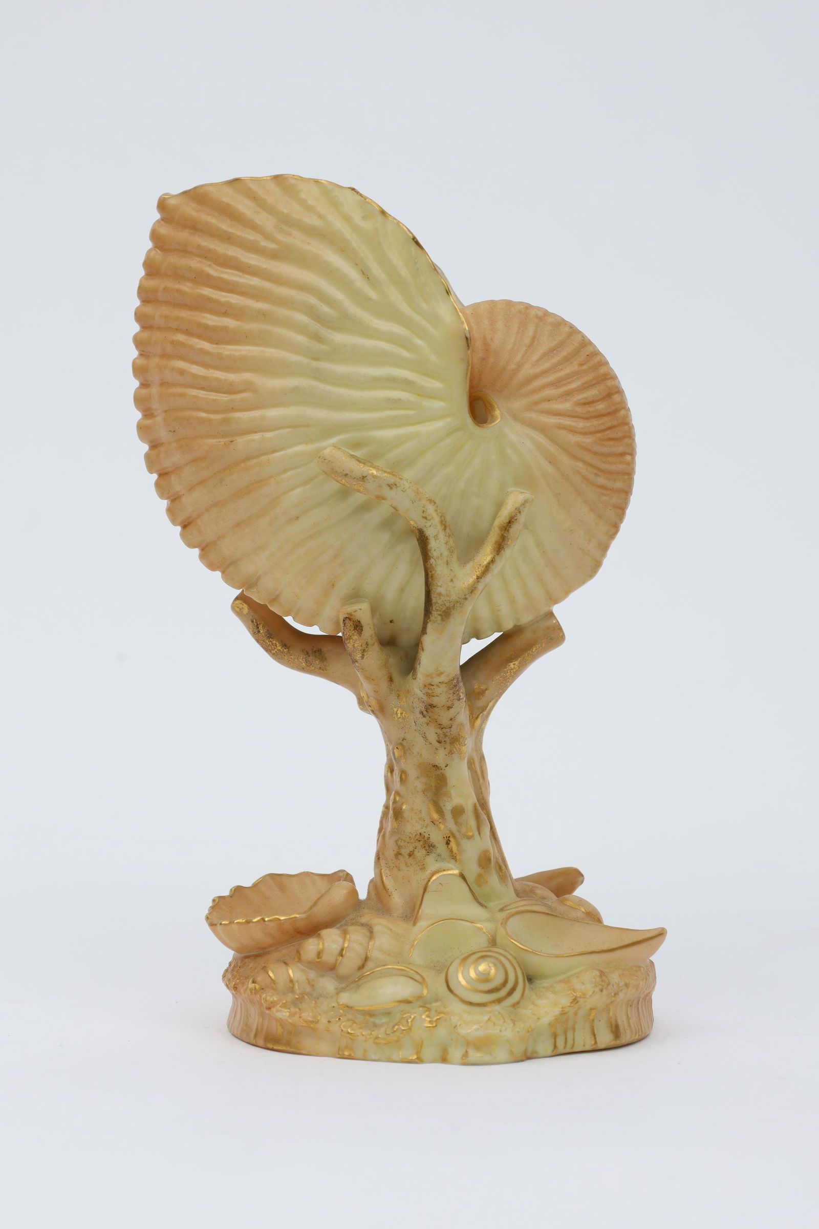 Antique Royal Worcester Nautilus Shell Vase (1 of 9)