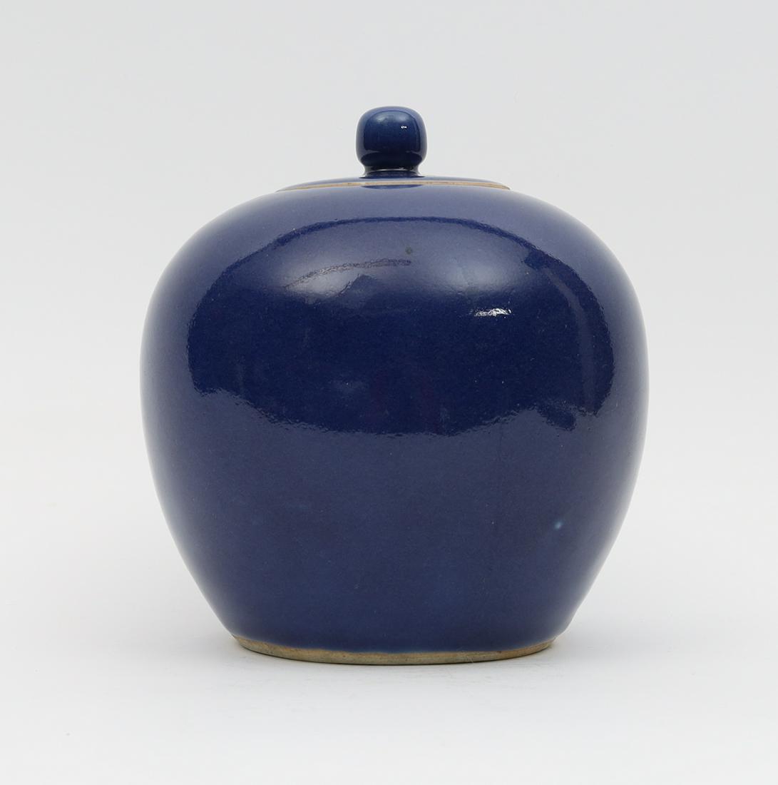 Antique Chinese Powder Blue Ginger Jar (1 of 14)