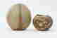 item-130697564=2