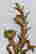 item-130697713=4