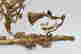 item-130697713=5