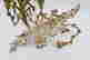 item-130697713=6