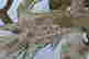 item-130697713=7