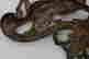 item-130697835=5