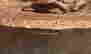 item-131034151=10