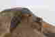 item-136248087=4