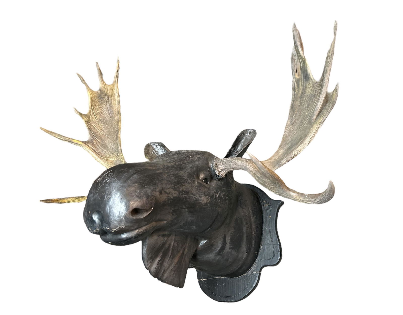 Large Vintage Folk Art Wood Carved Moose w Antlers (1 of 5)