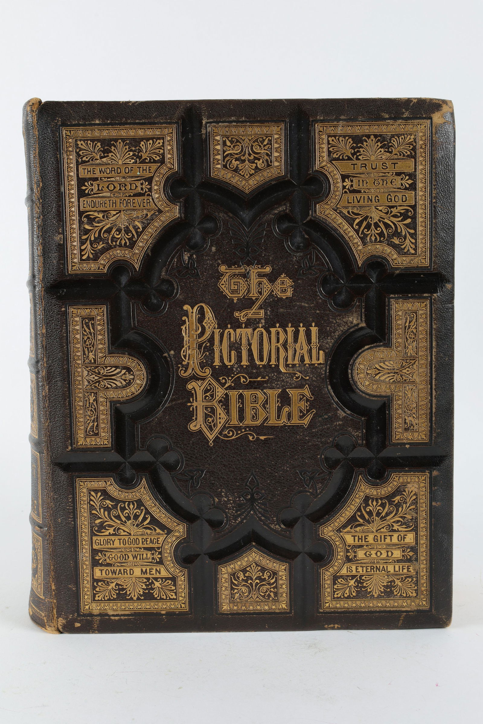 Antique 1873 Holman Illustrated Holy Bible (1 of 9)