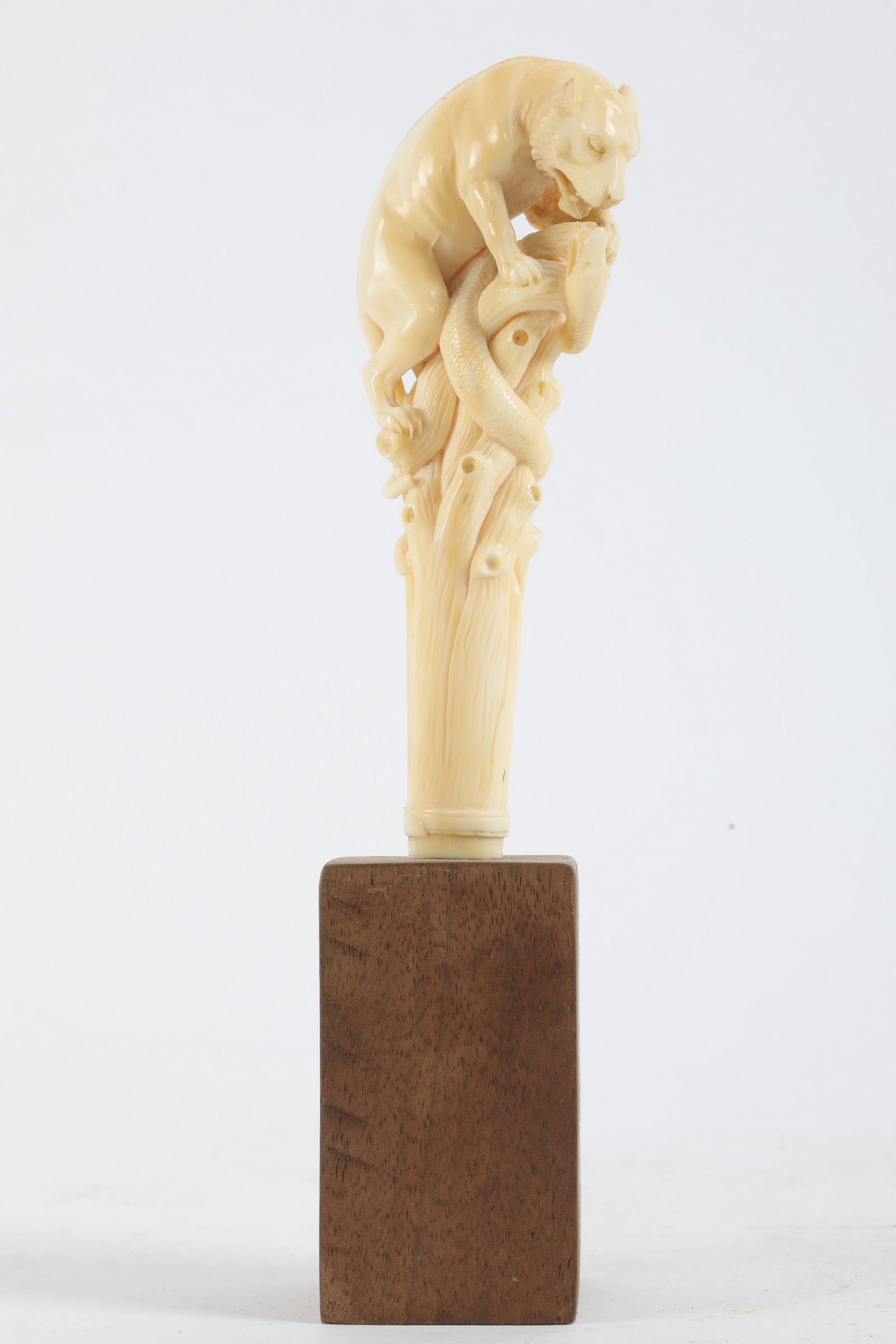 Antique Carved Lion and Serpent Parasol Handle (1 of 11)