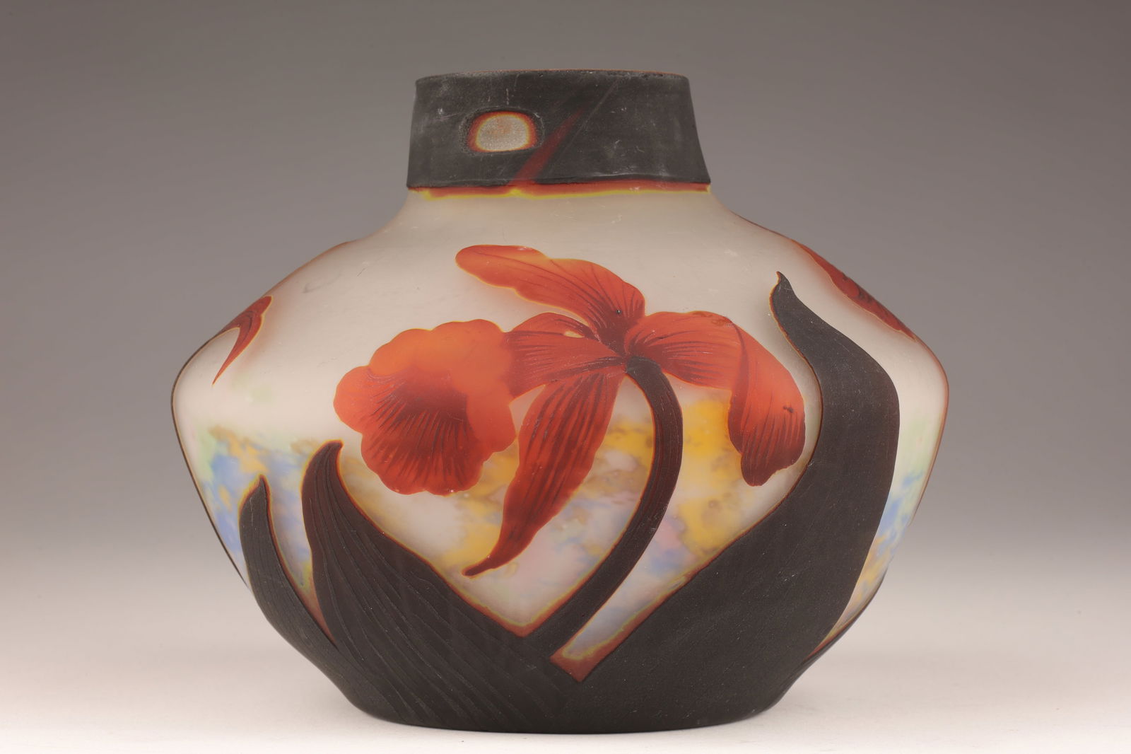 Muller Freres Luneville Cameo Cut Art Glass Vase (1 of 9)