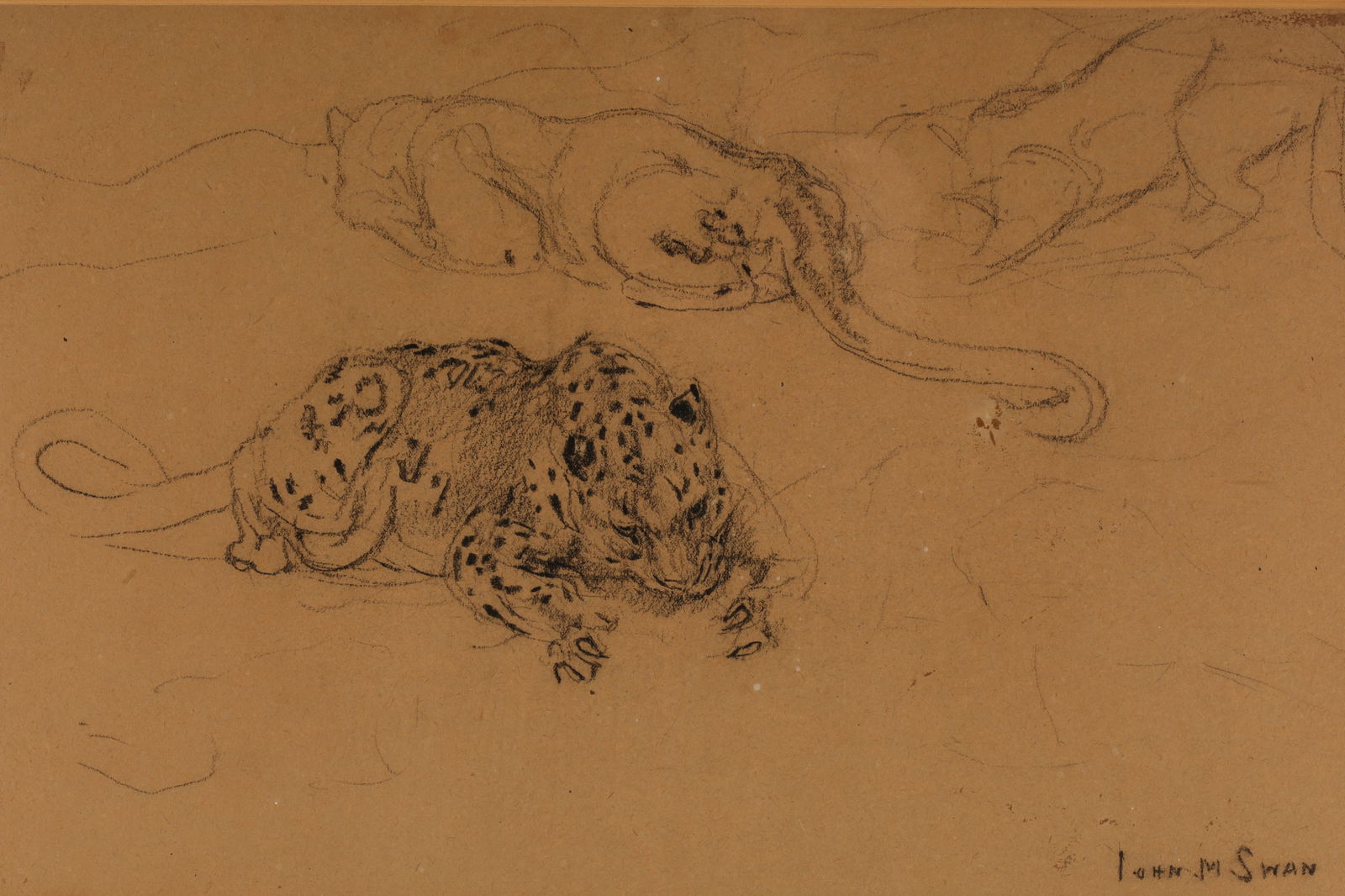 John Macallan Swan Drawing Study of Leopards (1 of 10)