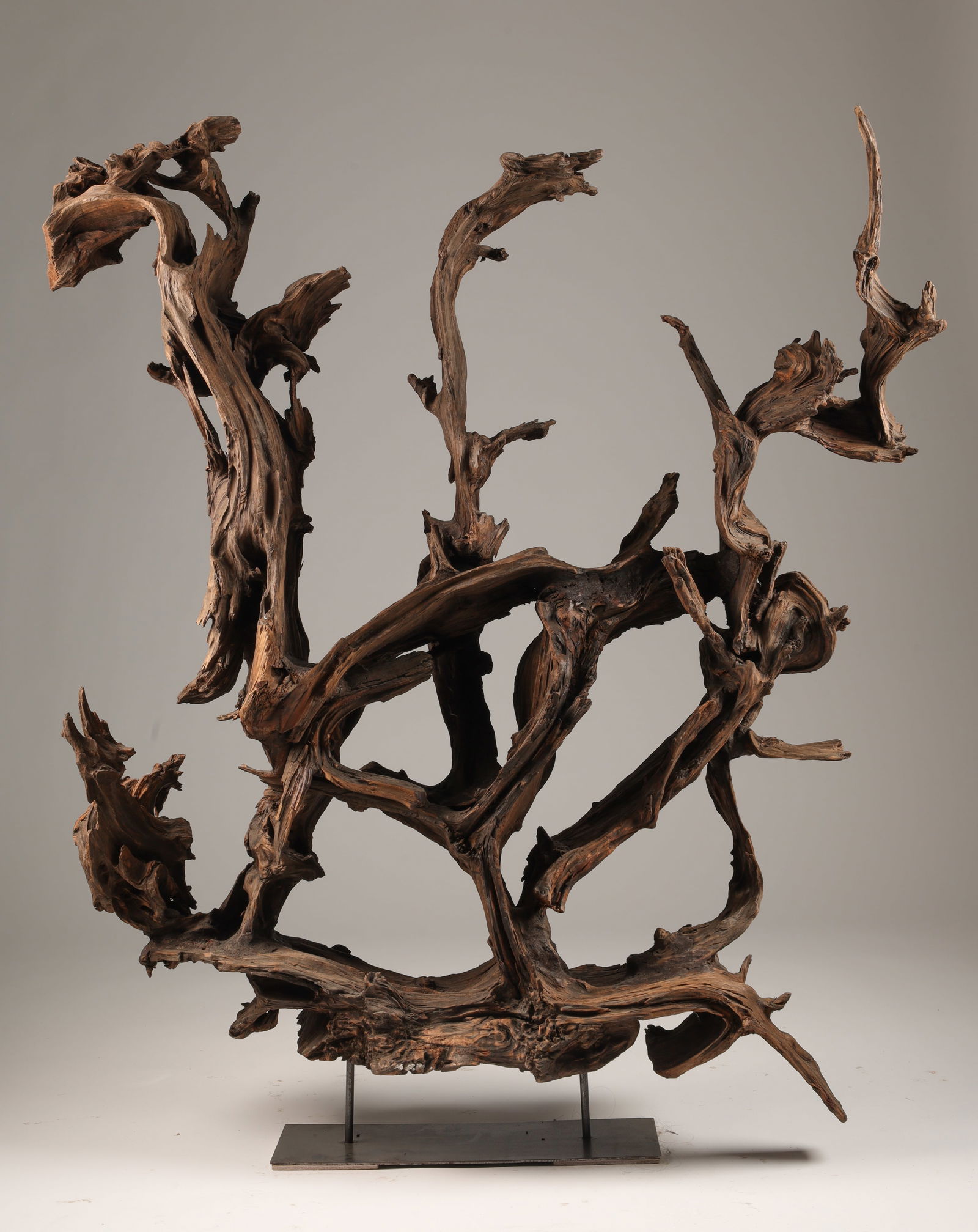 Large Freeform Driftwood Sculpture on Iron Stand (1 of 8)